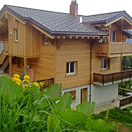 Am Baergbach Dg Apartment Bettmeralp Exterior photo